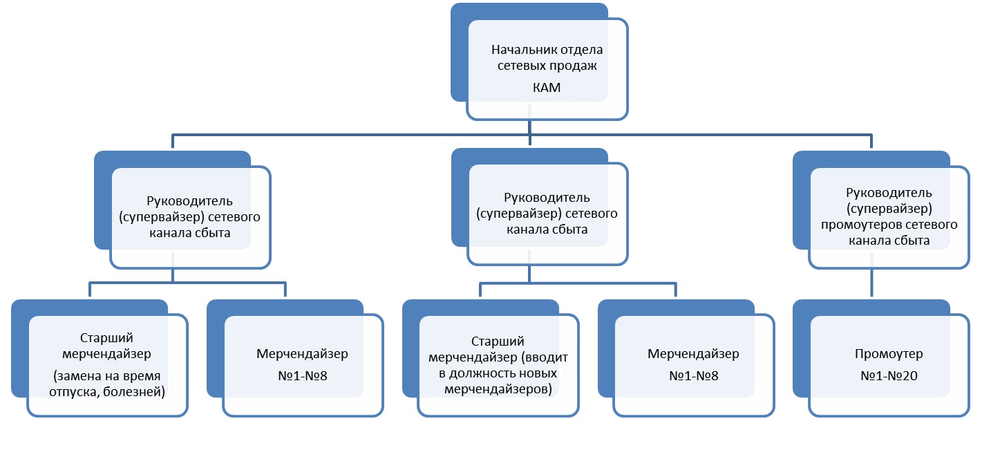 Структура отдела продаж (сетевой канал сбыта)